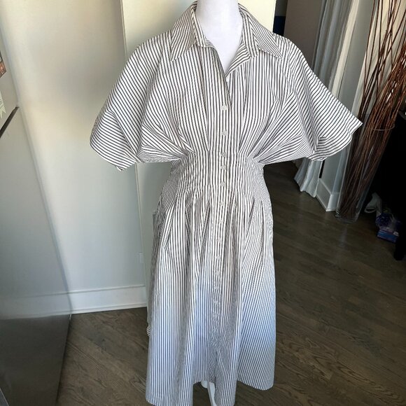 Anthropology The Tobie Button-Front Pleated Shirt Dress by Exquise - Picture 2 of 14